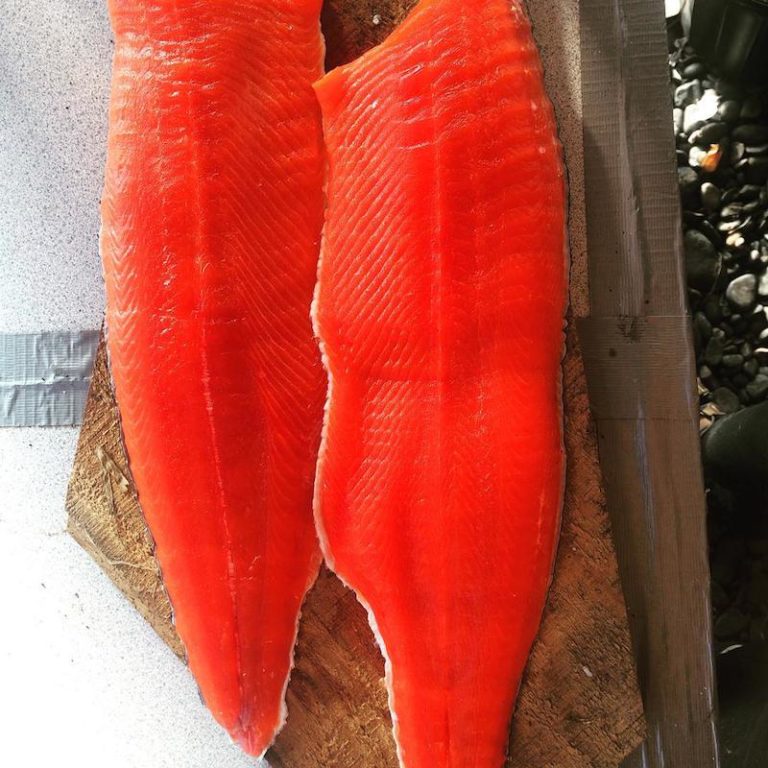 Beautiful red salmon caught in Cook Inlet Alaska — SEVENSEAS Media