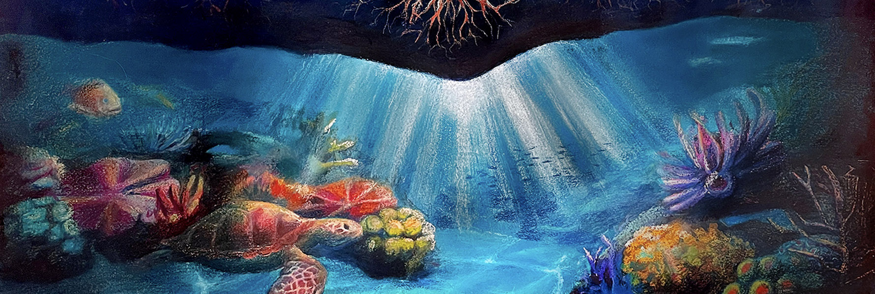 Reef Ridges Students Beautifully Illustrate a Ridge-to-Reef Approach to Coral Reef ...