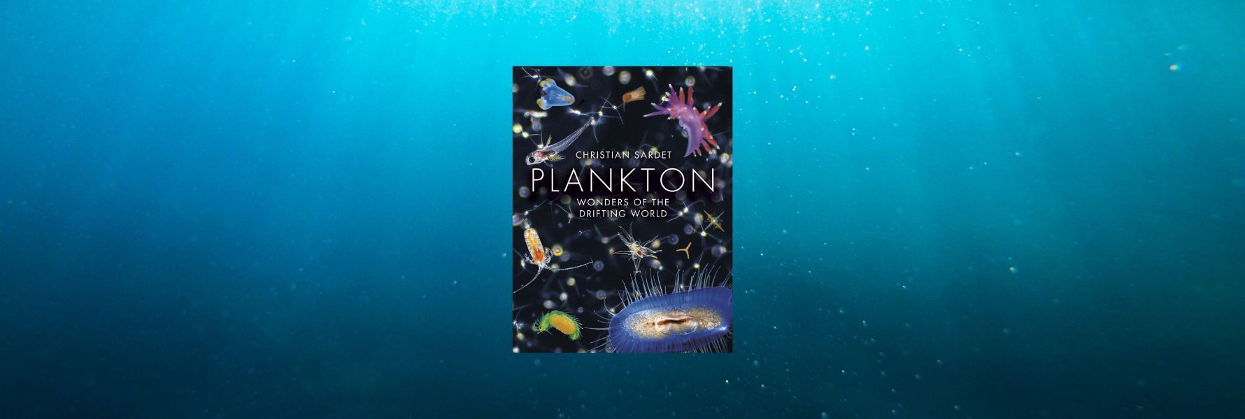 GOD PLANKTONさまページ Plankton - VisDEV - Wellmaus